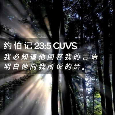Picture 02 - 约 伯 记 23:5 CUVS - 我 必 知 道 他 回 答 我 的 言 语 ， - Bible Verse Picture