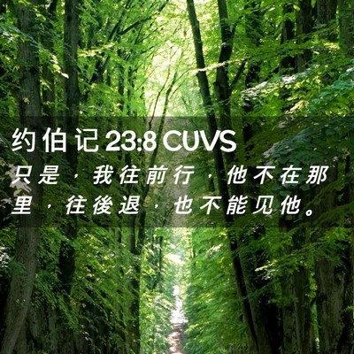 Picture 02 - 约 伯 记 23:8 CUVS - 只 是 ， 我 往 前 行 ， 他 不 在 那 - Bible Verse Picture