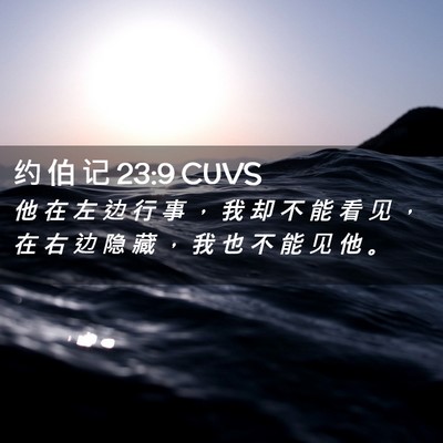 Picture 02 - 约 伯 记 23:9 CUVS - 他 在 左 边 行 事 ， 我 却 不 能 看 - Bible Verse Picture