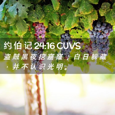 Picture 02 - 约 伯 记 24:16 CUVS - 盗 贼 黑 夜 挖 窟 窿 ； 白 日 躲 藏 - Bible Verse Picture