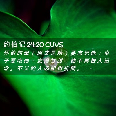 Picture 02 - 约 伯 记 24:20 CUVS - 怀 他 的 母 （ 原 文 是 胎 ） 要 忘 - Bible Verse Picture
