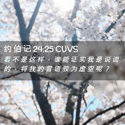 Picture 02 - 约 伯 记 24:25 CUVS - 若 不 是 这 样 ， 谁 能 证 实 我 是 - Bible Verse Picture