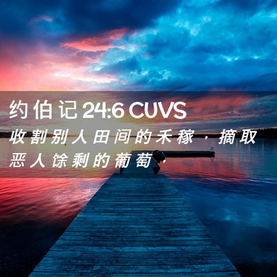 Picture 02 - 约 伯 记 24:6 CUVS - 收 割 别 人 田 间 的 禾 稼 ， 摘 取 - Bible Verse Picture