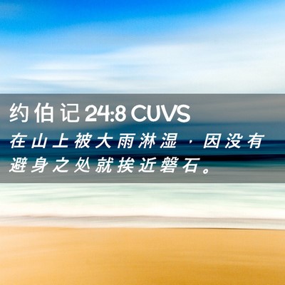 Picture 02 - 约 伯 记 24:8 CUVS - 在 山 上 被 大 雨 淋 湿 ， 因 没 有 - Bible Verse Picture