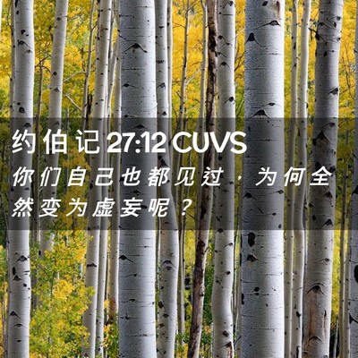 Picture 02 - 约 伯 记 27:12 CUVS - 你 们 自 己 也 都 见 过 ， 为 何 全 - Bible Verse Picture
