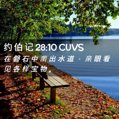 Picture 02 - 约 伯 记 28:10 CUVS - 在 磐 石 中 凿 出 水 道 ， 亲 眼 看 - Bible Verse Picture