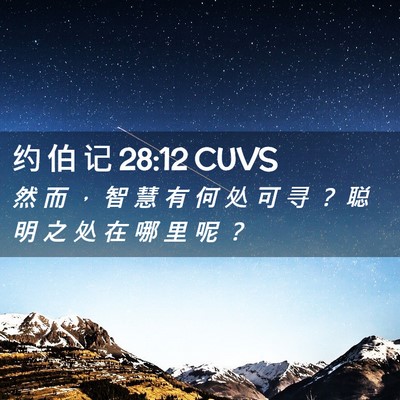 Picture 02 - 约 伯 记 28:12 CUVS - 然 而 ， 智 慧 有 何 处 可 寻 ？ 聪 - Bible Verse Picture