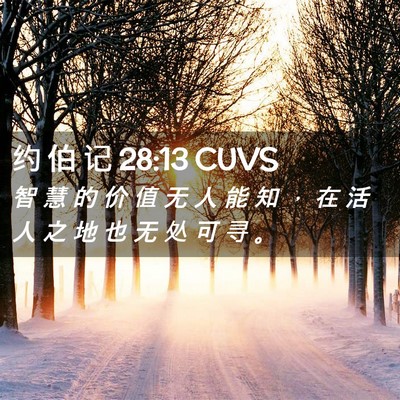 Picture 02 - 约 伯 记 28:13 CUVS - 智 慧 的 价 值 无 人 能 知 ， 在 活 - Bible Verse Picture