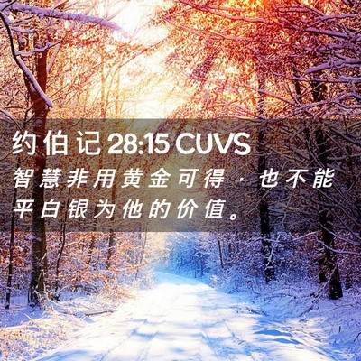 Picture 02 - 约 伯 记 28:15 CUVS - 智 慧 非 用 黄 金 可 得 ， 也 不 能 - Bible Verse Picture