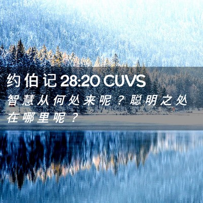 Picture 02 - 约 伯 记 28:20 CUVS - 智 慧 从 何 处 来 呢 ？ 聪 明 之 处 - Bible Verse Picture