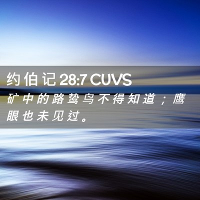 Picture 02 - 约 伯 记 28:7 CUVS - 矿 中 的 路 鸷 鸟 不 得 知 道 ； 鹰 - Bible Verse Picture