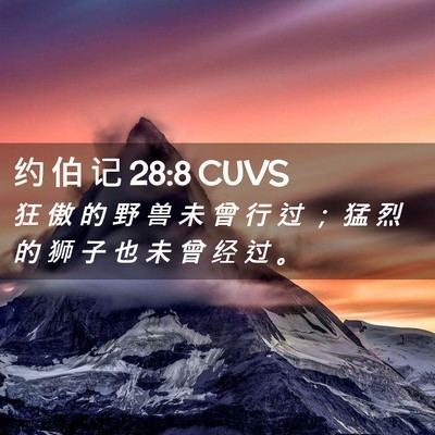 Picture 02 - 约 伯 记 28:8 CUVS - 狂 傲 的 野 兽 未 曾 行 过 ； 猛 烈 - Bible Verse Picture