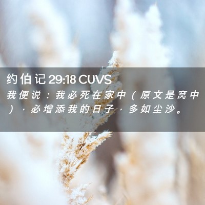 Picture 02 - 约 伯 记 29:18 CUVS - 我 便 说 ： 我 必 死 在 家 中 （ 原 - Bible Verse Picture