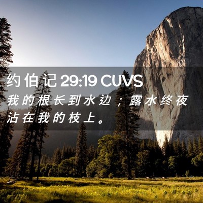 Picture 02 - 约 伯 记 29:19 CUVS - 我 的 根 长 到 水 边 ； 露 水 终 夜 - Bible Verse Picture