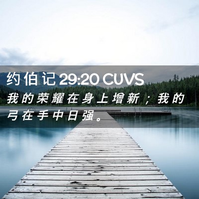 Picture 02 - 约 伯 记 29:20 CUVS - 我 的 荣 耀 在 身 上 增 新 ； 我 的 - Bible Verse Picture