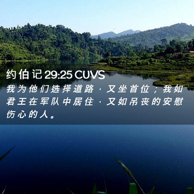 Picture 02 - 约 伯 记 29:25 CUVS - 我 为 他 们 选 择 道 路 ， 又 坐 首 - Bible Verse Picture
