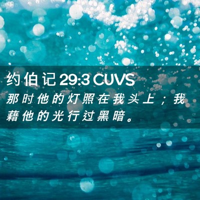 Picture 02 - 约 伯 记 29:3 CUVS - 那 时 他 的 灯 照 在 我 头 上 ； 我 - Bible Verse Picture