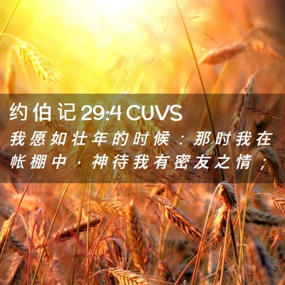 Picture 02 - 约 伯 记 29:4 CUVS - 我 愿 如 壮 年 的 时 候 ： 那 时 我 - Bible Verse Picture