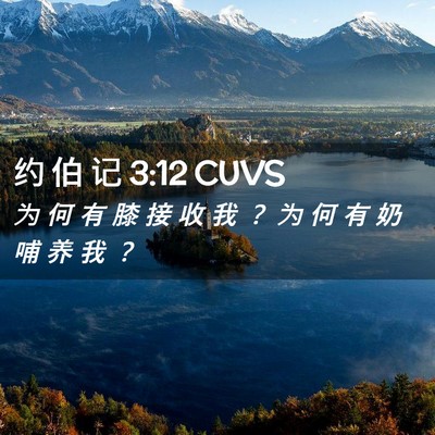Picture 02 - 约 伯 记 3:12 CUVS - 为 何 有 膝 接 收 我 ？ 为 何 有 奶 - Bible Verse Picture