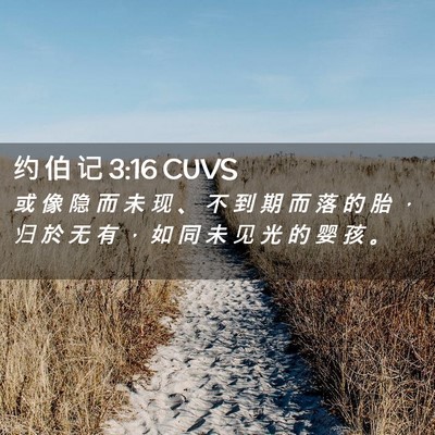 Picture 02 - 约 伯 记 3:16 CUVS - 或 像 隐 而 未 现 、 不 到 期 而 落 - Bible Verse Picture