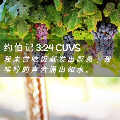 Picture 02 - 约 伯 记 3:24 CUVS - 我 未 曾 吃 饭 就 发 出 叹 息 ； 我 - Bible Verse Picture