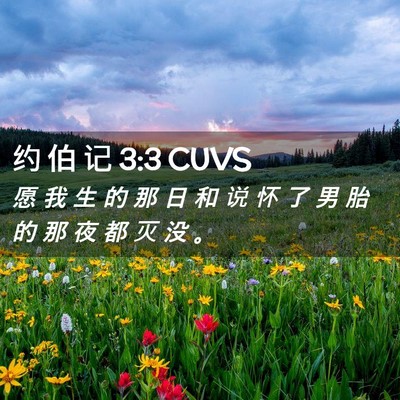 Picture 02 - 约 伯 记 3:3 CUVS - 愿 我 生 的 那 日 和 说 怀 了 男 胎 - Bible Verse Picture