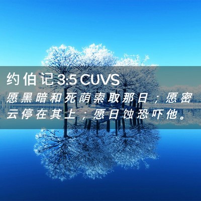 Picture 02 - 约 伯 记 3:5 CUVS - 愿 黑 暗 和 死 荫 索 取 那 日 ； 愿 - Bible Verse Picture