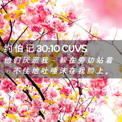 Picture 02 - 约 伯 记 30:10 CUVS - 他 们 厌 恶 我 ， 躲 在 旁 边 站 着 - Bible Verse Picture