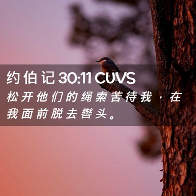 Picture 02 - 约 伯 记 30:11 CUVS - 松 开 他 们 的 绳 索 苦 待 我 ， 在 - Bible Verse Picture