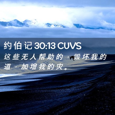 Picture 02 - 约 伯 记 30:13 CUVS - 这 些 无 人 帮 助 的 ， 毁 坏 我 的 - Bible Verse Picture