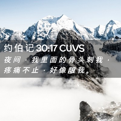Picture 02 - 约 伯 记 30:17 CUVS - 夜 间 ， 我 里 面 的 骨 头 刺 我 ， - Bible Verse Picture