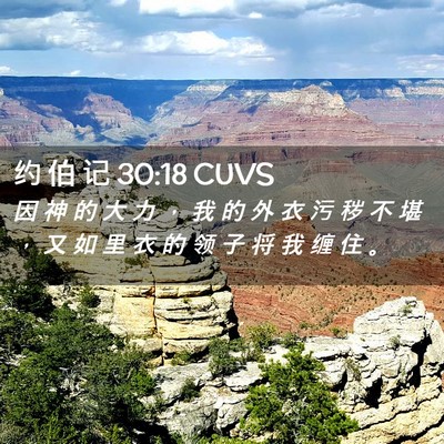 Picture 02 - 约 伯 记 30:18 CUVS - 因 神 的 大 力 ， 我 的 外 衣 污 秽 - Bible Verse Picture