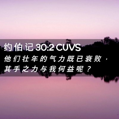 Picture 02 - 约 伯 记 30:2 CUVS - 他 们 壮 年 的 气 力 既 已 衰 败 ， - Bible Verse Picture