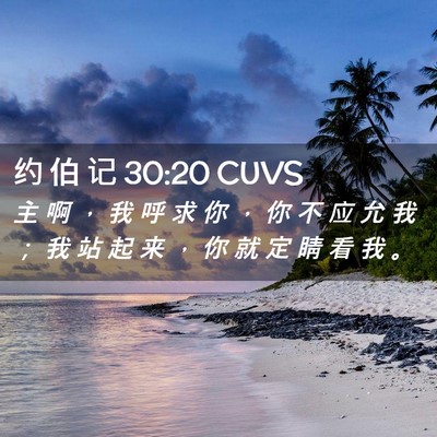 Picture 02 - 约 伯 记 30:20 CUVS - 主 啊 ， 我 呼 求 你 ， 你 不 应 允 - Bible Verse Picture