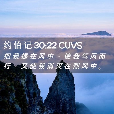 Picture 02 - 约 伯 记 30:22 CUVS - 把 我 提 在 风 中 ， 使 我 驾 风 而 - Bible Verse Picture