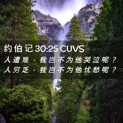 Picture 02 - 约 伯 记 30:25 CUVS - 人 遭 难 ， 我 岂 不 为 他 哭 泣 呢 - Bible Verse Picture