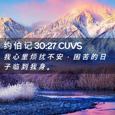 Picture 02 - 约 伯 记 30:27 CUVS - 我 心 里 烦 扰 不 安 ， 困 苦 的 日 - Bible Verse Picture