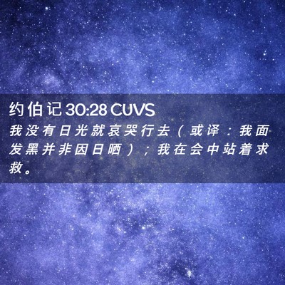 Picture 02 - 约 伯 记 30:28 CUVS - 我 没 有 日 光 就 哀 哭 行 去 （ 或 - Bible Verse Picture