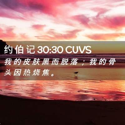 Picture 02 - 约 伯 记 30:30 CUVS - 我 的 皮 肤 黑 而 脱 落 ； 我 的 骨 - Bible Verse Picture