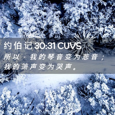 Picture 02 - 约 伯 记 30:31 CUVS - 所 以 ， 我 的 琴 音 变 为 悲 音 ； - Bible Verse Picture