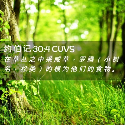 Picture 02 - 约 伯 记 30:4 CUVS - 在 草 丛 之 中 采 咸 草 ， 罗 腾 （ - Bible Verse Picture