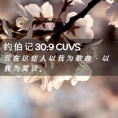 Picture 02 - 约 伯 记 30:9 CUVS - 现 在 这 些 人 以 我 为 歌 曲 ， 以 - Bible Verse Picture