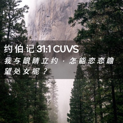 Picture 02 - 约 伯 记 31:1 CUVS - 我 与 眼 睛 立 约 ， 怎 能 恋 恋 瞻 - Bible Verse Picture