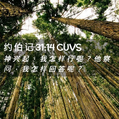 Picture 02 - 约 伯 记 31:14 CUVS - 神 兴 起 ， 我 怎 样 行 呢 ？ 他 察 - Bible Verse Picture