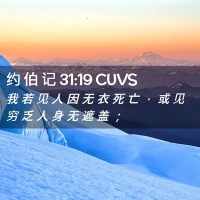 Picture 02 - 约 伯 记 31:19 CUVS - 我 若 见 人 因 无 衣 死 亡 ， 或 见 - Bible Verse Picture