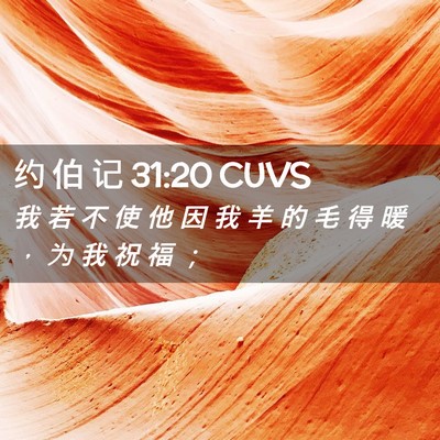 Picture 02 - 约 伯 记 31:20 CUVS - 我 若 不 使 他 因 我 羊 的 毛 得 暖 - Bible Verse Picture