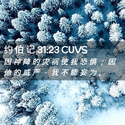 Picture 02 - 约 伯 记 31:23 CUVS - 因 神 降 的 灾 祸 使 我 恐 惧 ； 因 - Bible Verse Picture