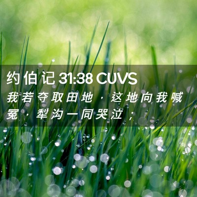 Picture 02 - 约 伯 记 31:38 CUVS - 我 若 夺 取 田 地 ， 这 地 向 我 喊 - Bible Verse Picture