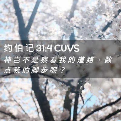 Picture 02 - 约 伯 记 31:4 CUVS - 神 岂 不 是 察 看 我 的 道 路 ， 数 - Bible Verse Picture