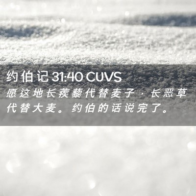 Picture 02 - 约 伯 记 31:40 CUVS - 愿 这 地 长 蒺 藜 代 替 麦 子 ， 长 - Bible Verse Picture